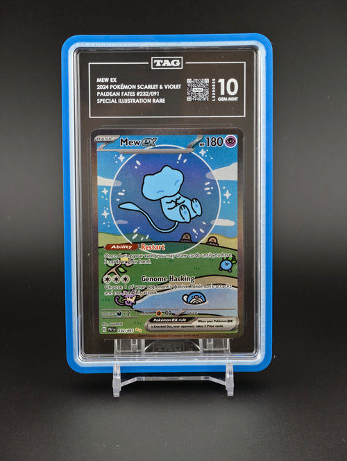 Blueberry Glacier Tea